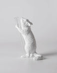 Haoshi Chipmunk Vase Present 01 Spacio India