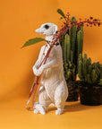Haoshi Meerkat Vase Sit 02 Spacio India