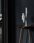 Haoshi Parrot Candle Holder Single Spacio India