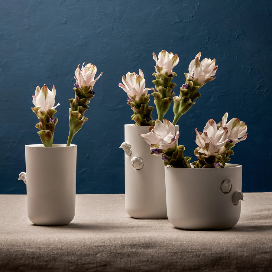 Haoshi Sparrow Vase Grand Spacio India