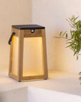 Wooden solar lantern-style outdoor light with a plant in the background