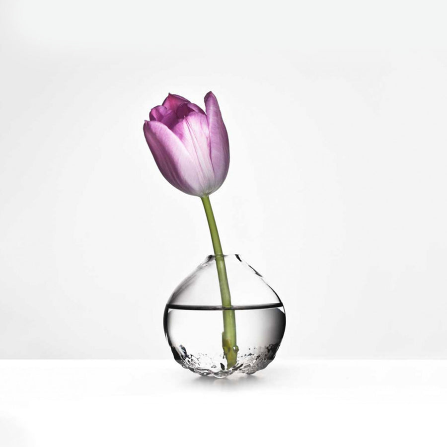 Maleras Crystal Into The Woods Vase with a pink flower on a white surface with white back ground for modern interiors available at Spacio India from Decor Accessories Collection of Vases.