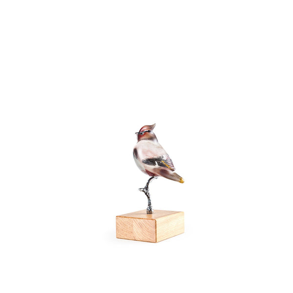 Maleras Crystal Into The Woods Waxwing Limited Edition Sculpture on a white back ground for modern interior available at Spacio India from Sculpture and Art Objects Collection.