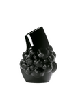 Black crystal vase with unique design on a white background