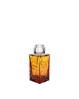 The IO Love Amber clear Vase by Mario Cioni on a white background