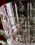 Clear crystal with star-shaped etching on a blurred background