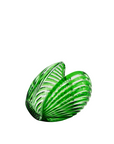 Nautilus