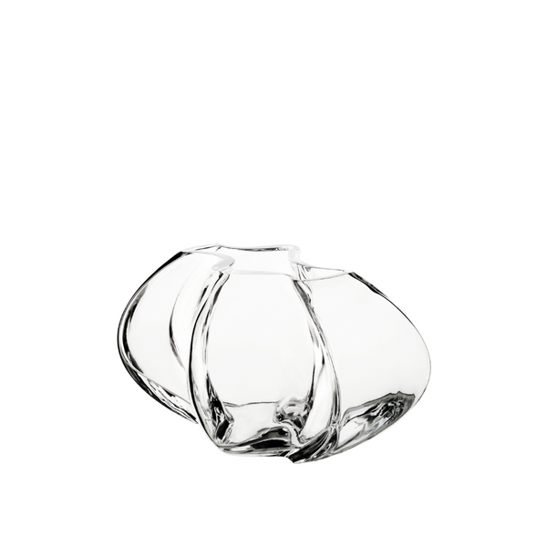 Clear crystal vase with a unique design on a white background