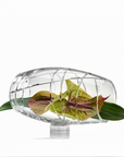 Decorative crystal object with flowers and leaves and intricate design on a white background