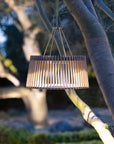 Hanging solar outdoor light fixture on a tree branch with a blurred natural background by Les Jardins available at Spacio in Mumbai & Kolkata. 