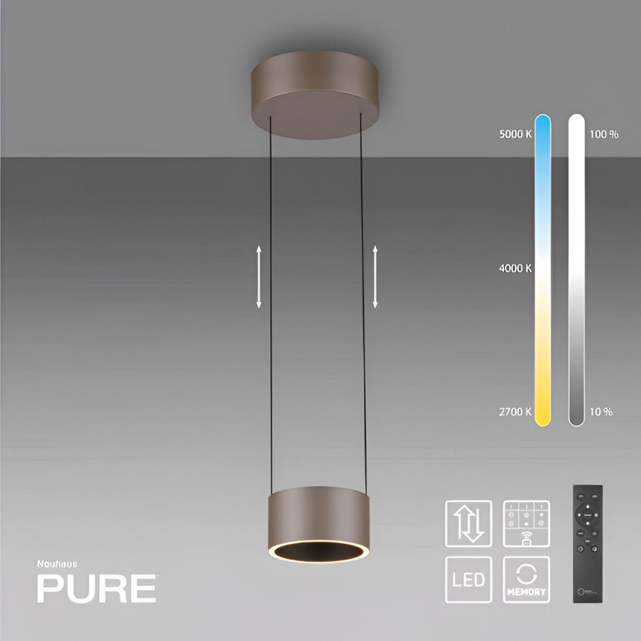 Ceiling light fixture with a color temperature scale and Nulight branding on a gray background