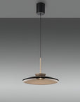 Modern pendant light with black and gold design on a gray background