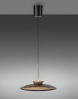 Modern pendant light with black and gold design on a gray background