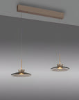 Two modern pendant lights hanging from a wooden fixture against a gray background