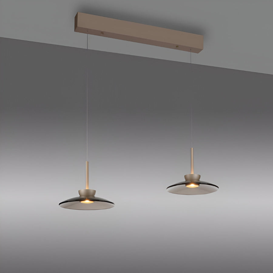 Two modern pendant lights hanging from a wooden fixture against a gray background