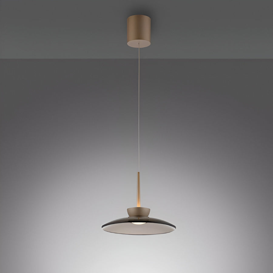 Modern pendant light with a dark shade and gold accents on a gray background