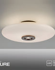 Ceiling light fixture with 'PURE' branding on a gray background