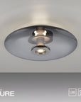 Ceiling light fixture with 'PURE' branding on a gray background