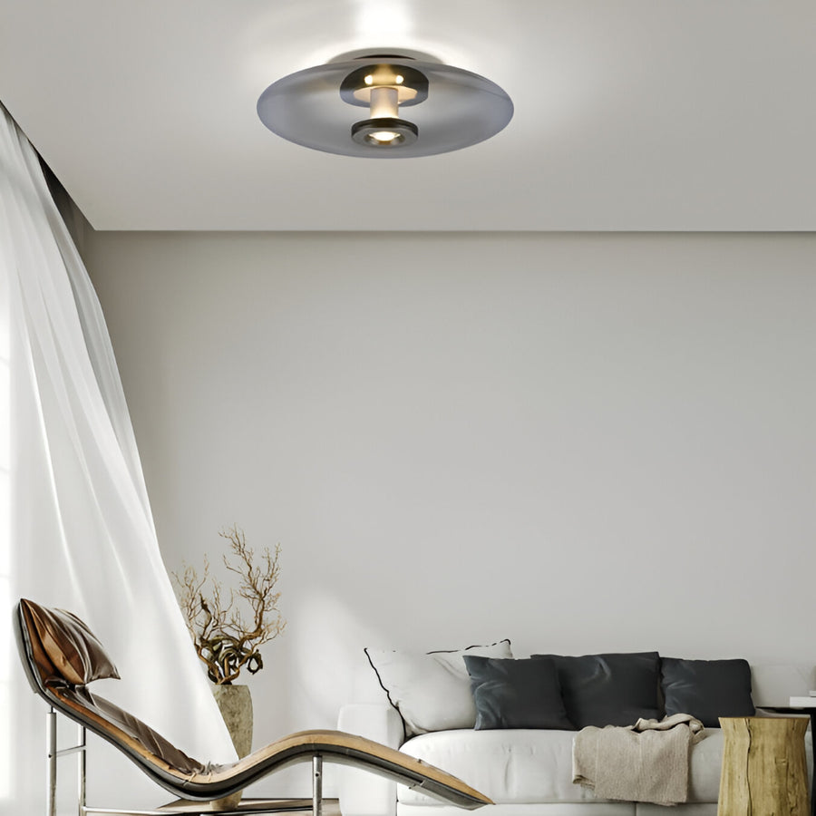 Modern living room with a ceiling light fixture, sofa, and decorative elements.