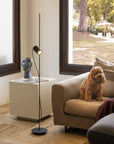 Living room with a floor lamp, sculpture, and dog on a couch