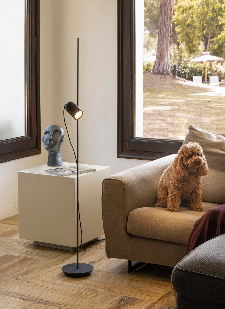 Living room with a floor lamp, sculpture, and dog on a couch