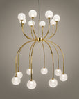 Penelope Chandelier Spacio India