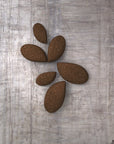 Brown leaf-shaped objects on a textured gray surface