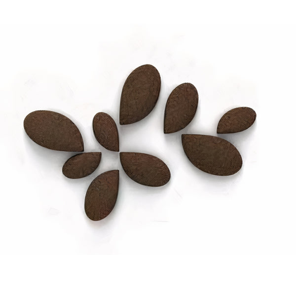 Brown leaf-shaped objects on a white background by Gardeco available at Spacio retail stores in Mumbai & Kolkata.  
