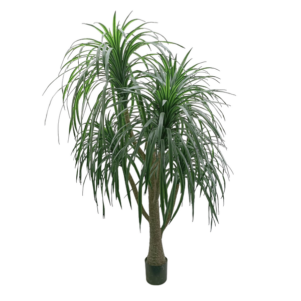 Ponytail Palm Large Artificial Tree