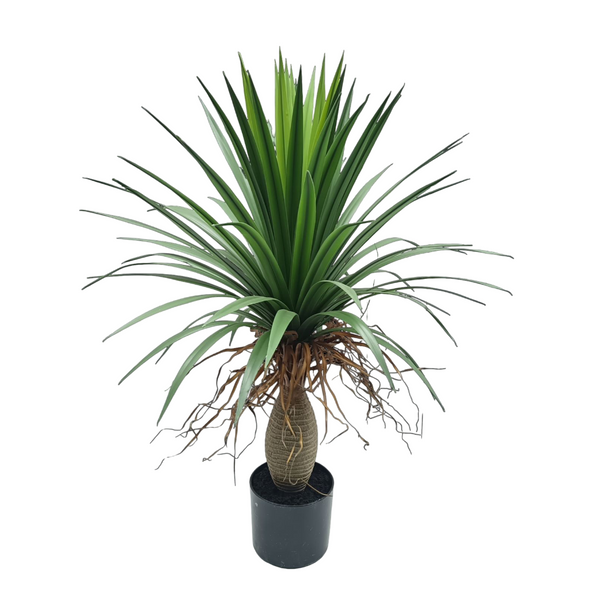 Ponytail Palm Small Artificial Tree