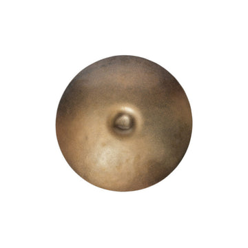 Bronze glass wall art on a white background by Gardeco available at Spacio retail stores in Mumbai & Kolkata.  