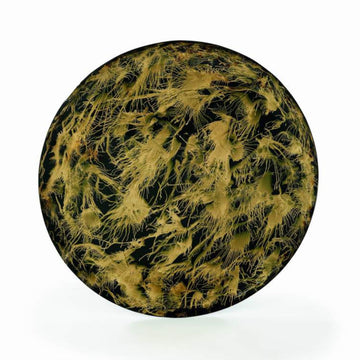 Prato de Parede Bronze Assoprado Fundo 90