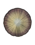 Round decorative glass wall art with a sunburst pattern on a white background