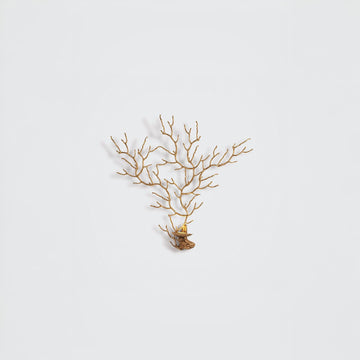 A wall light in the share pf a coral sea fan on a light grey background