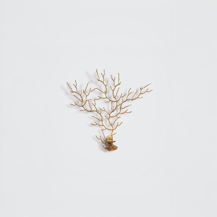 A wall light in the share pf a coral sea fan on a light grey background