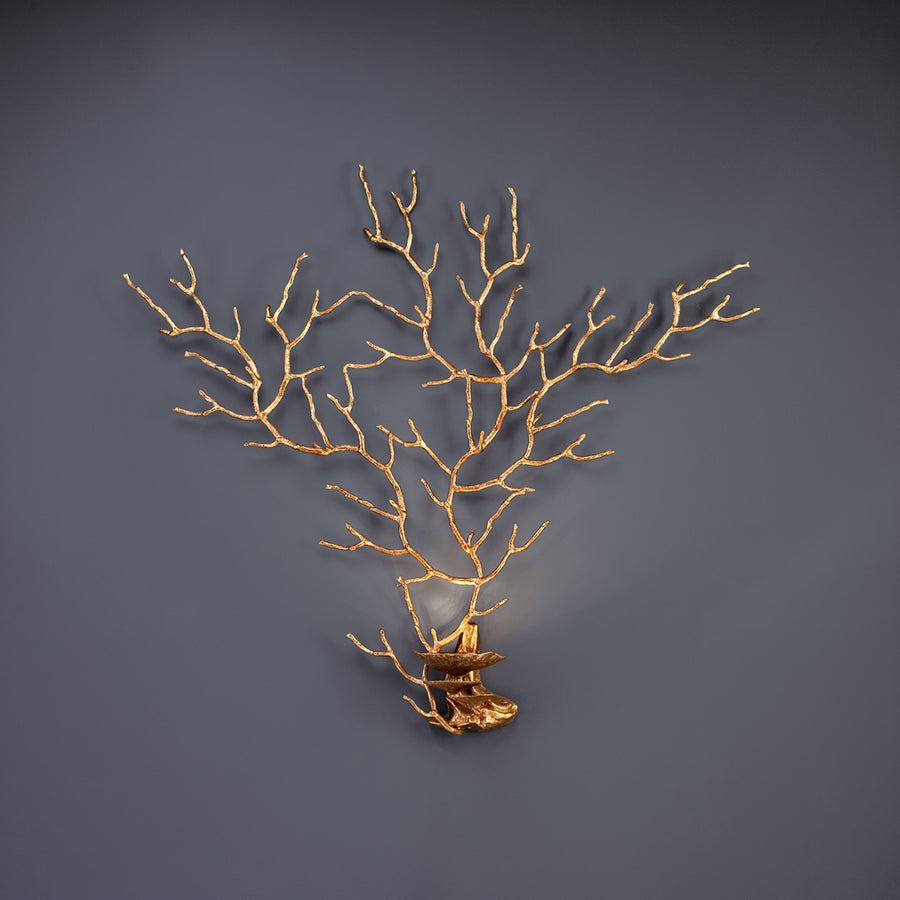 A wall light in the share pf a coral sea fan on a grey background