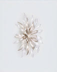A decorative nature inspired flower shape wall light on a grey background