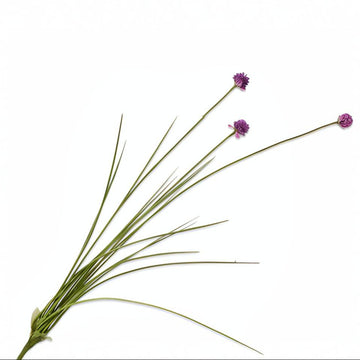 Bouquet of green grass with purple flowers on a white background by Silk-ka available at Spacio retail stores in Mumbai & Kolkata. 