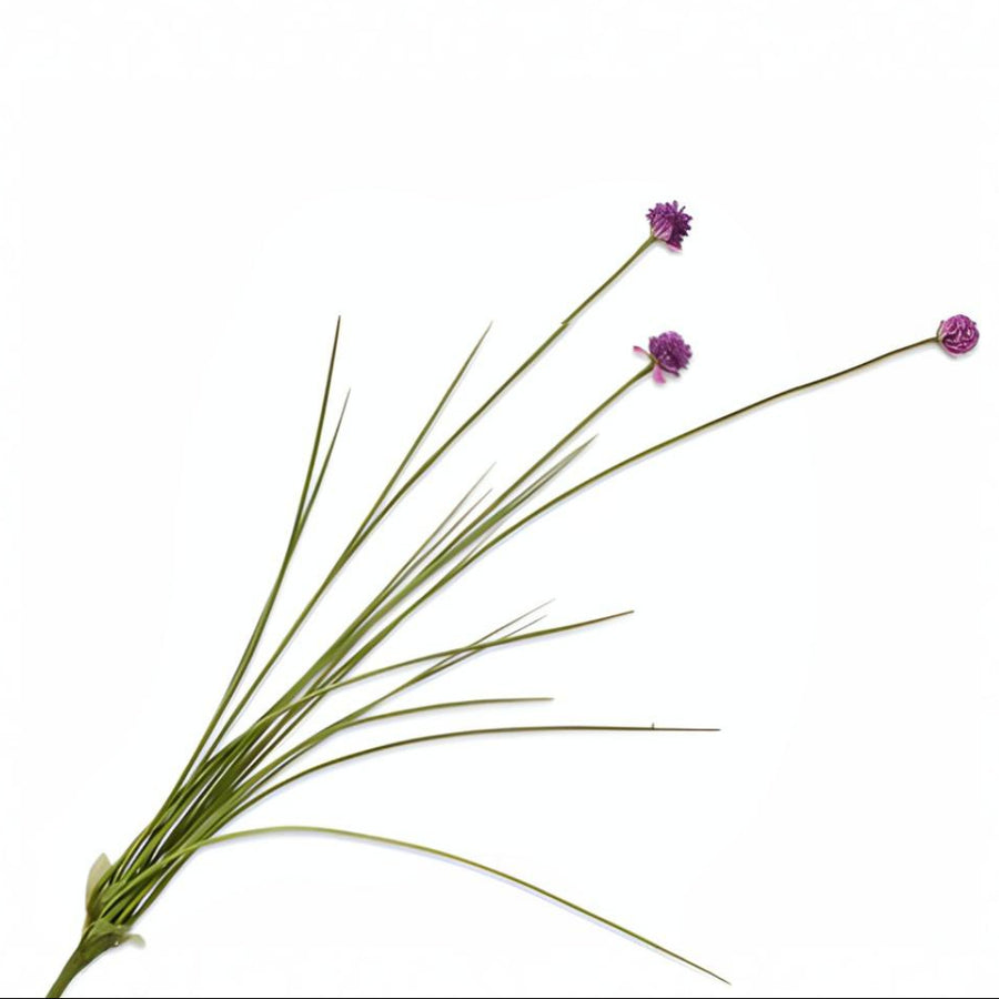 Bouquet of green grass with purple flowers on a white background by Silk-ka available at Spacio retail stores in Mumbai & Kolkata. 