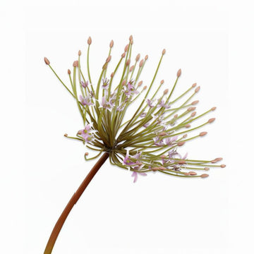 Artificial plant stem with pink flowers on a white background by Silk-ka available at Spacio retail stores in Mumbai & Kolkata. 