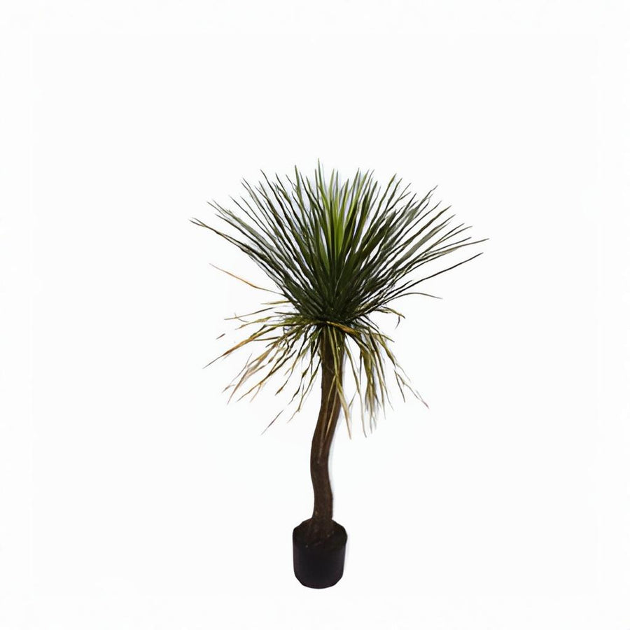 Potted plant with long green leaves on a white background by Silk-ka available at Spacio retail stores in Mumbai & Kolkata.  