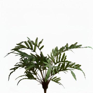 Artificial fern plant on a white background by Silk-ka available at Spacio retail stores in Mumbai & Kolkata.  