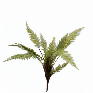 Artificial fern plant on a white background by Silk-ka available at Spacio retail stores in Mumbai & Kolkata.  