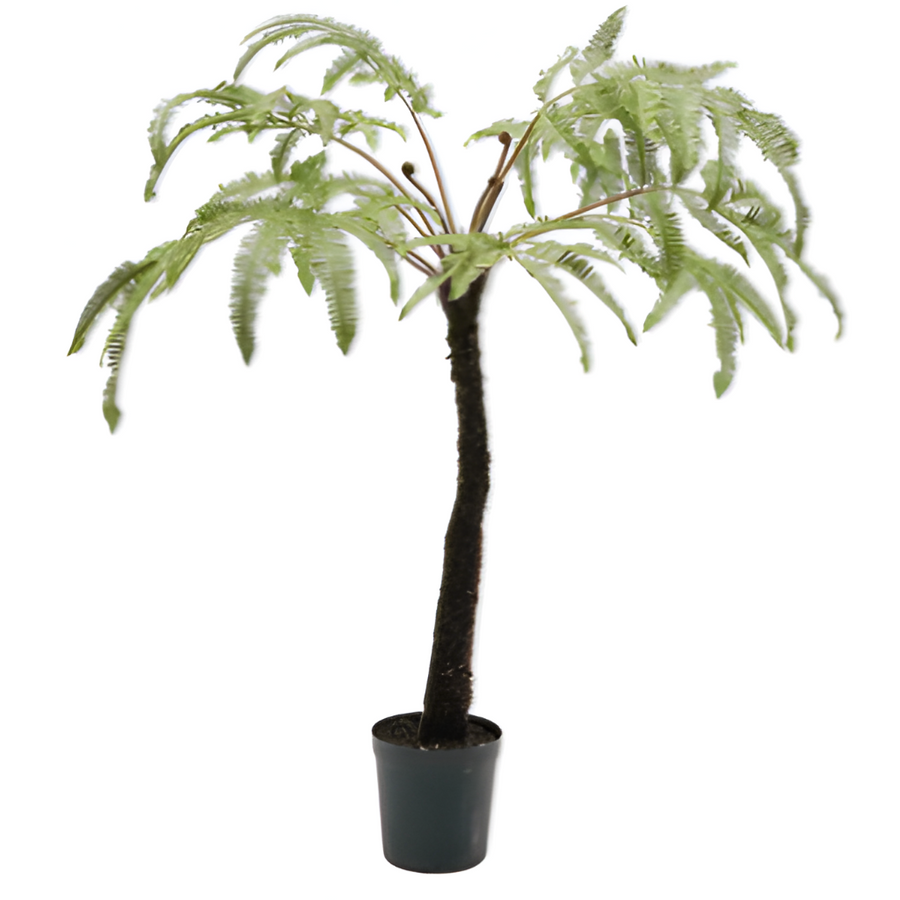 Potted artificial fern plant on a white background by Silk-ka available at Spacio retail stores in Mumbai & Kolkata.  