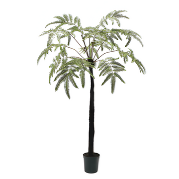 Potted artificial palm tree on a white background by Silkka available at Spacio retail stores in Mumbai & Kolkata. 