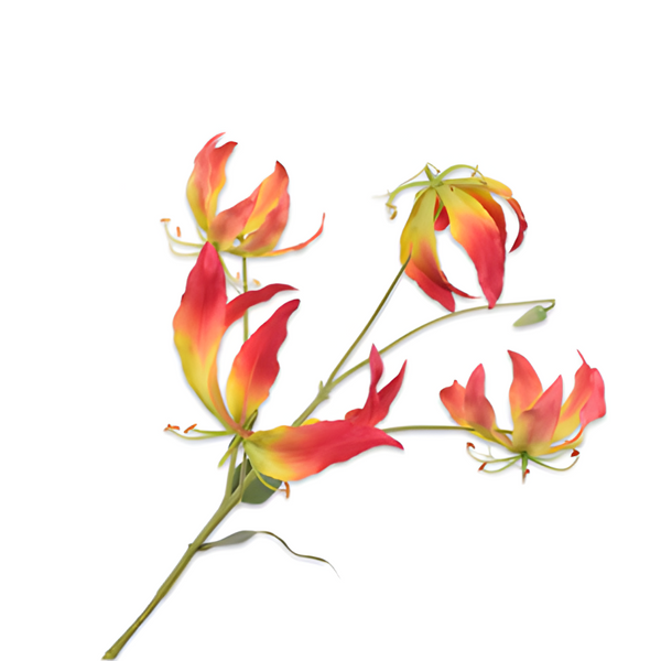 Silk-ka Gloriosa Spray Yellow Pink 86 Artificial Flower