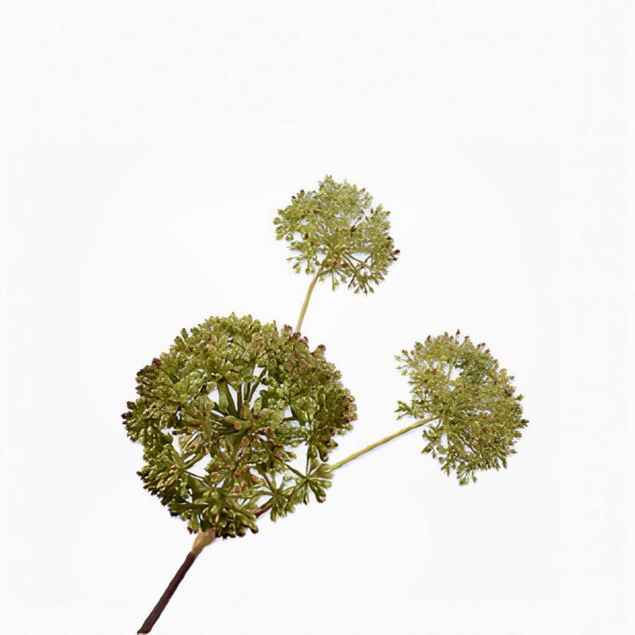 Three green allium flowers on a white background by Silk-ka available at Spacio retail stores in Mumbai & Kolkata.  