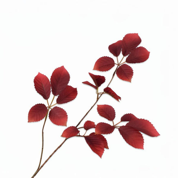 Red artificial leaf branch on a white background by Silk-ka available at Spacio retail stores in Mumbai & Kolkata. 