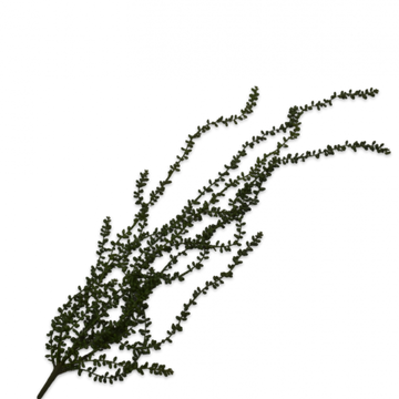 Artificial plant branch on a white background by Silk-ka available at Spacio retail stores in Mumbai & Kolkata.  