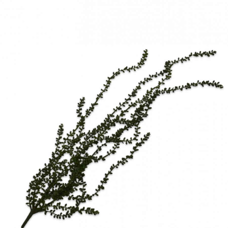 Artificial plant branch on a white background by Silk-ka available at Spacio retail stores in Mumbai & Kolkata.  